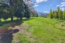 1127 Earnscleugh Road, Alexandra, Central Otago, Central Otago / Lakes District