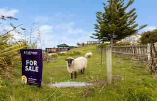 7 Ashburn Street, Oamaru