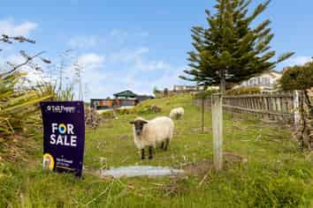 7 Ashburn Street, Oamaru