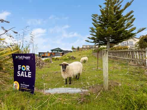 7 Ashburn Street, Oamaru