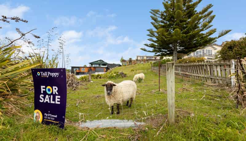 7 Ashburn Street, Oamaru