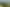  Claim Ground Forest, Waitahuna