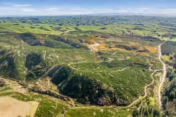  Claim Ground Forest, Waitahuna