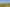  Claim Ground Forest, Waitahuna