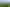  Rutherford Forest, Waitahuna