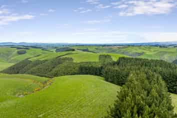 Rutherford Forest, Waitahuna
