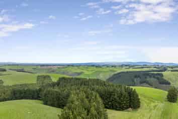  Rutherford Forest, Waitahuna
