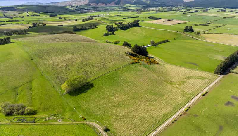 Table Hill Forest, Milton