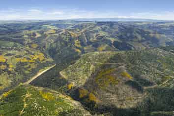  Taieri View 17 & 18 and Bells Bush Forest, North Taieri