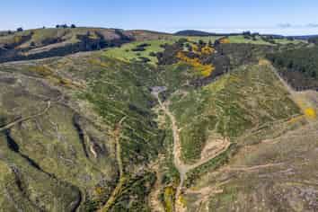  Taieri View 17 & 18 and Bells Bush Forest, North Taieri