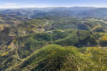  Taieri View 17 & 18 and Bells Bush Forest, North Taieri