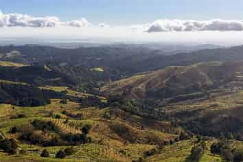  Fisher-Riley Forest, Kaitaia