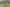 Auckland - Address withheld