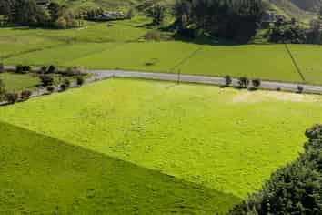 7 Maungakotukutuku Road, PARAPARAUMU