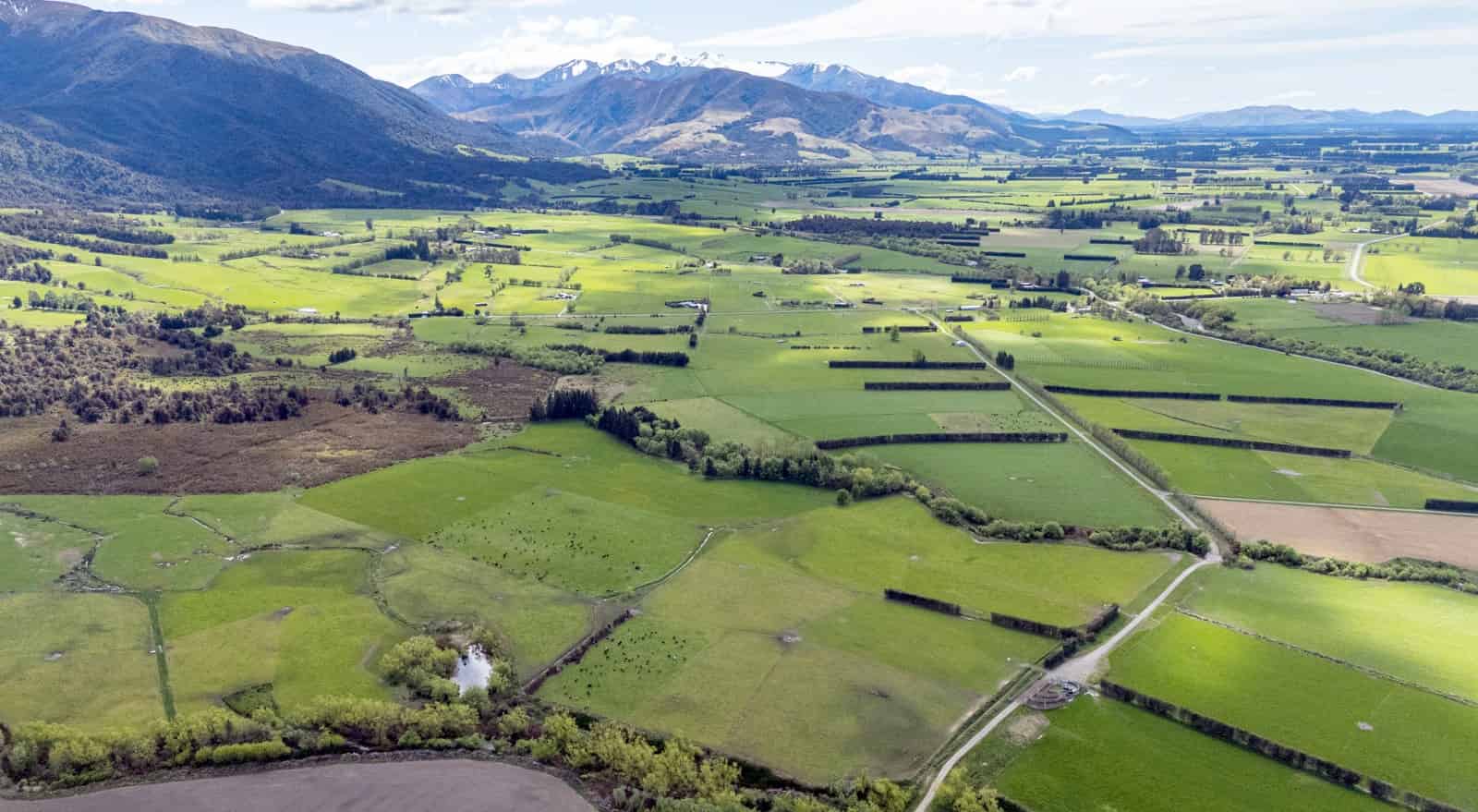 101 Boyds Road, Staveley, Ashburton For Sale realestate.co.nz