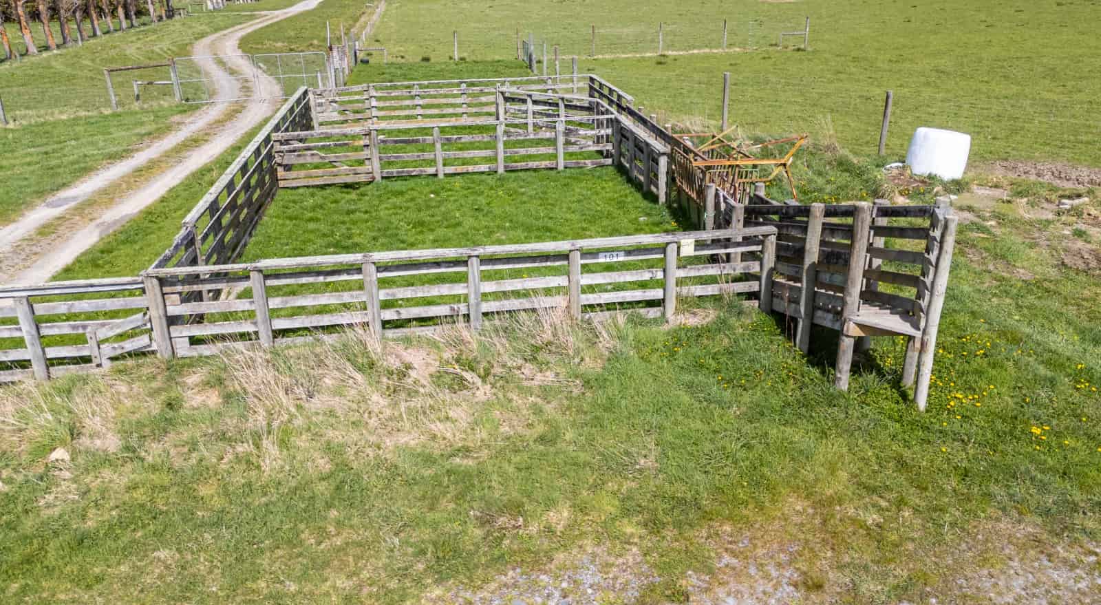 101 Boyds Road, Staveley, Ashburton For Sale realestate.co.nz