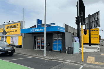 Commercial Opportunity at 244 Linwood Ave