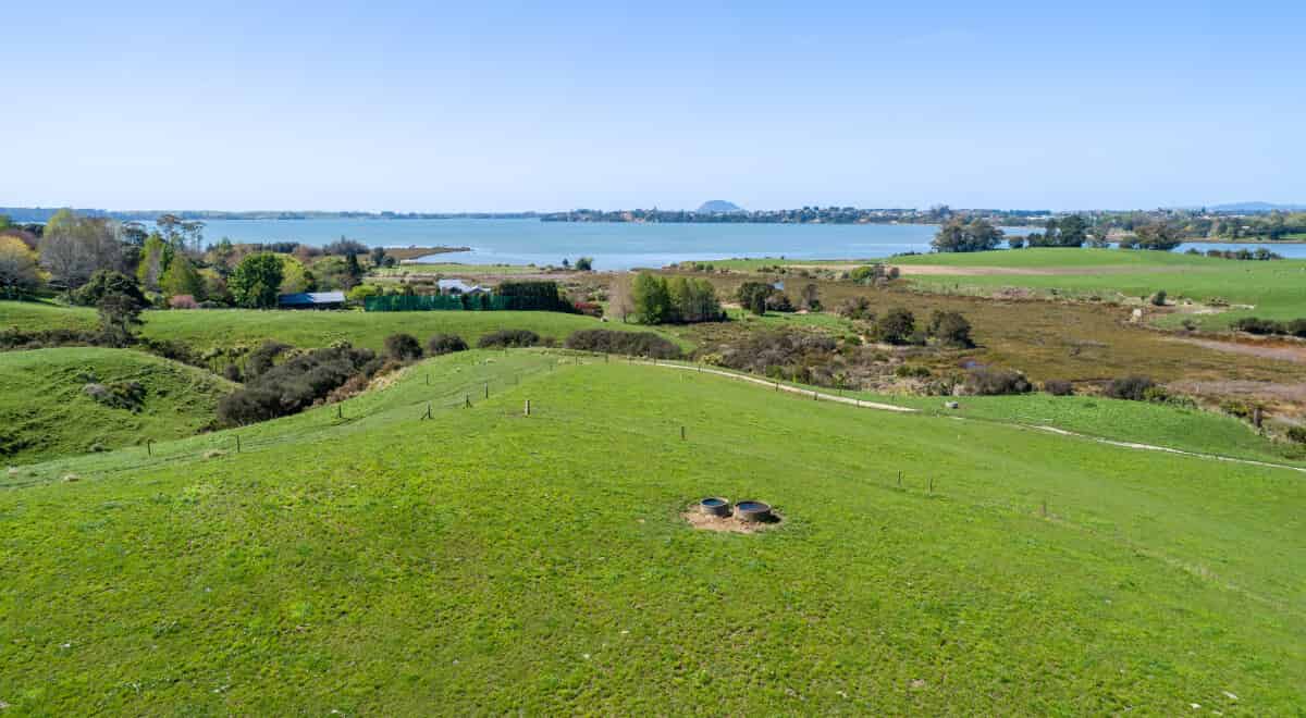 288 Pahoia Road, Whakamarama, Western Bay Of Plenty For Sale