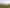 Auckland - Address withheld