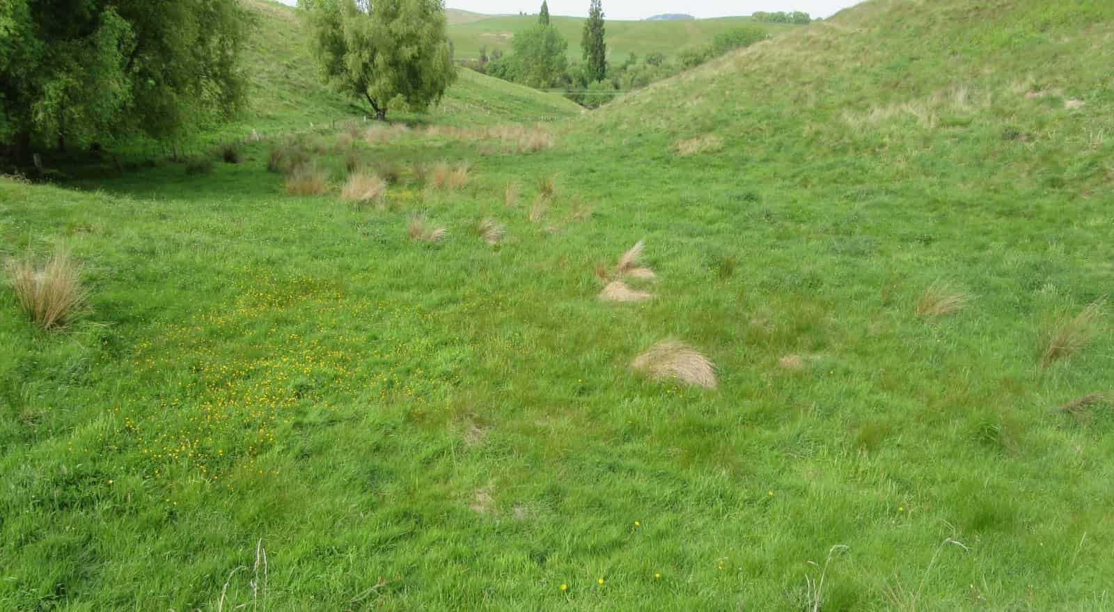 209 Pourerere Road, Waipawa, Central Hawkes Bay For Sale realestate