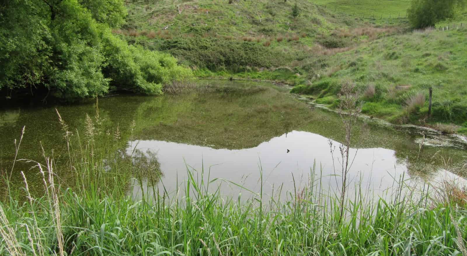 209 Pourerere Road, Waipawa, Central Hawkes Bay For Sale realestate