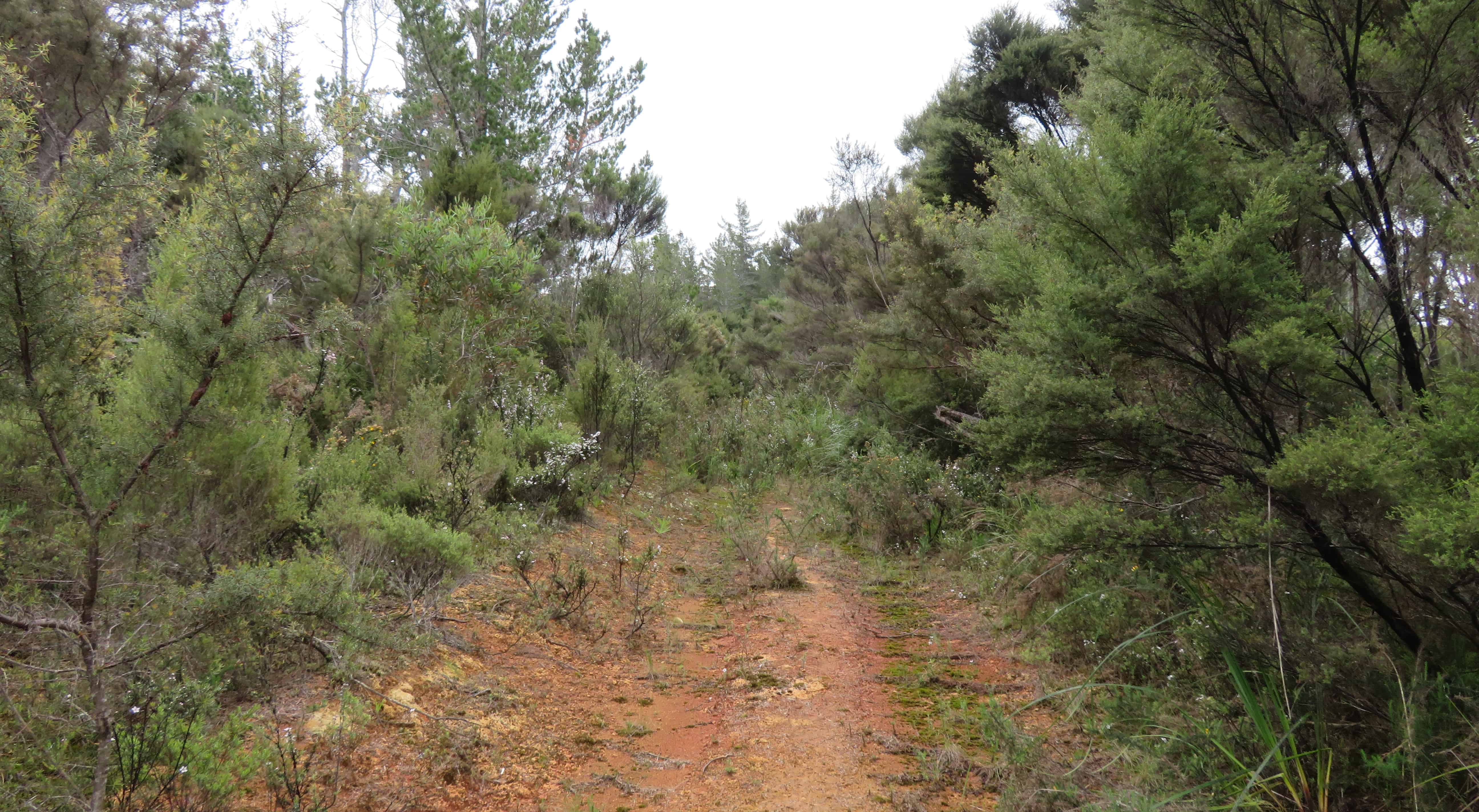 Allot 155 & 77 Goshen Valley Road, Mangonui, Far North For Sale