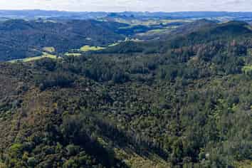 Allot 155 & 77 Goshen Valley Road, Mangonui