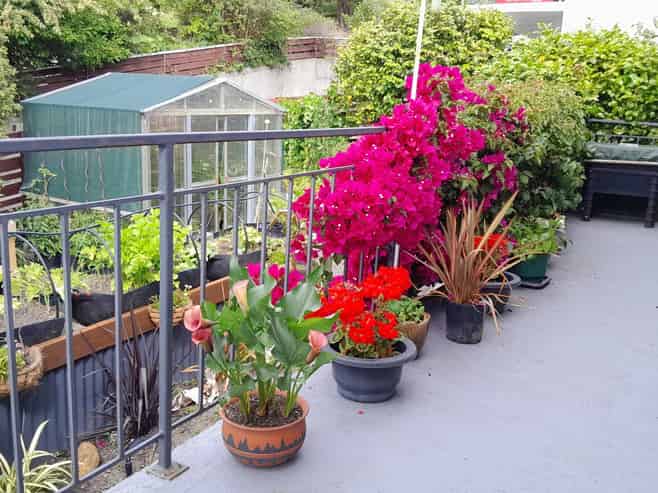 103a Milton Terrace, Picton