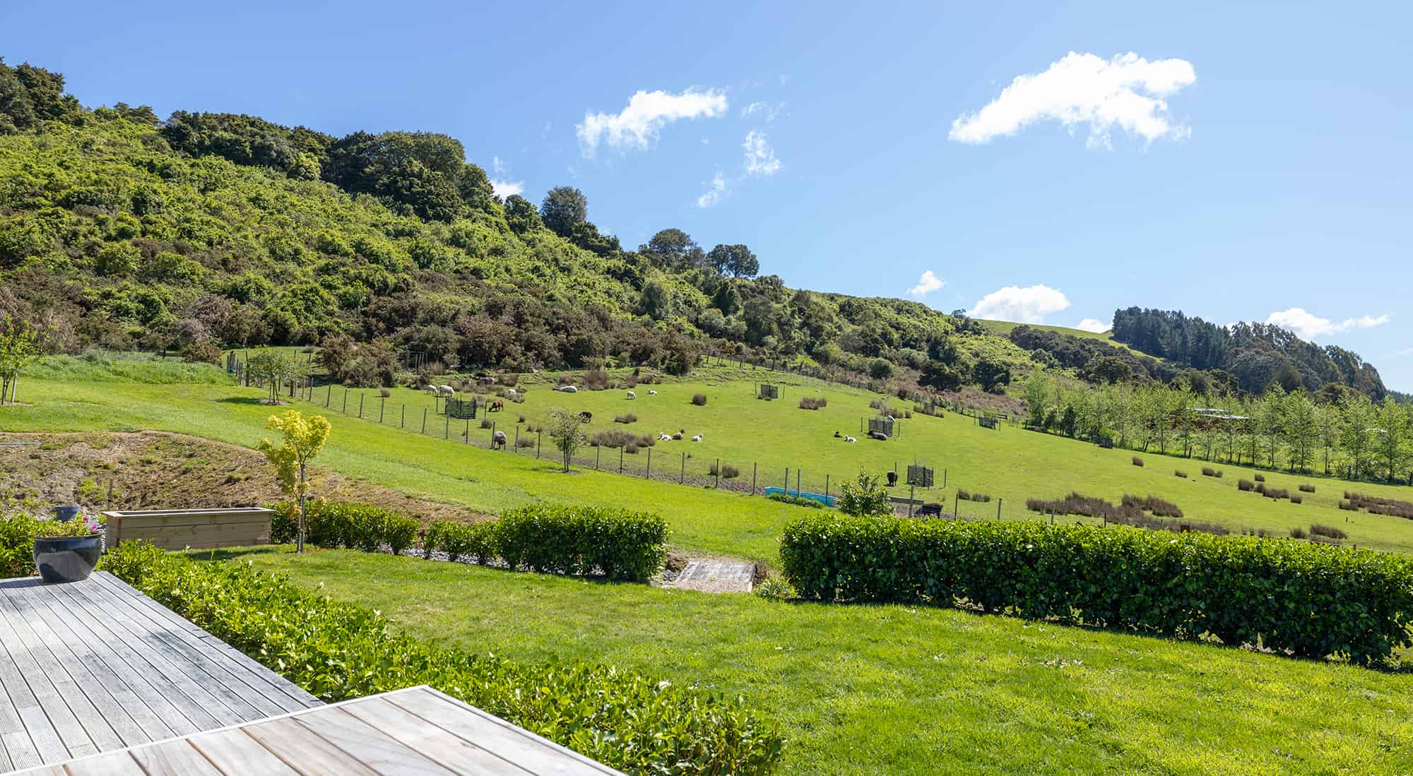 695F Chester Road, West Taratahi, Carterton For Sale realestate.co.nz