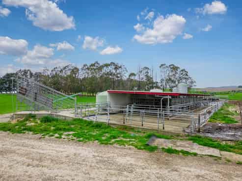 3722 Waimate Highway, Morven