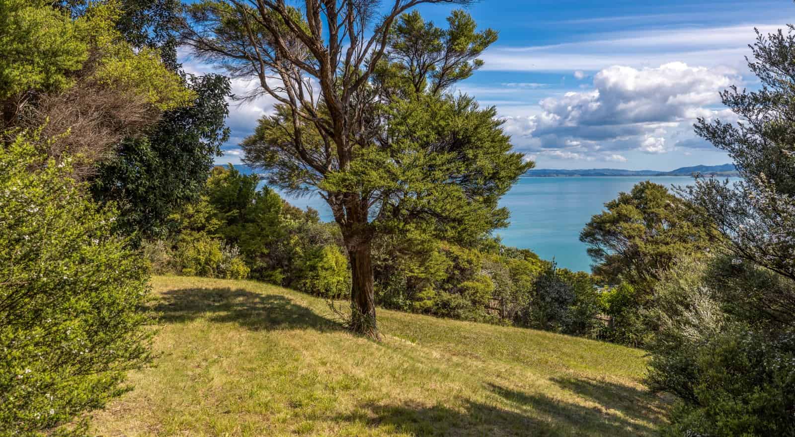 2 Wallingford Avenue, Waiheke Island, Waiheke Island For Sale