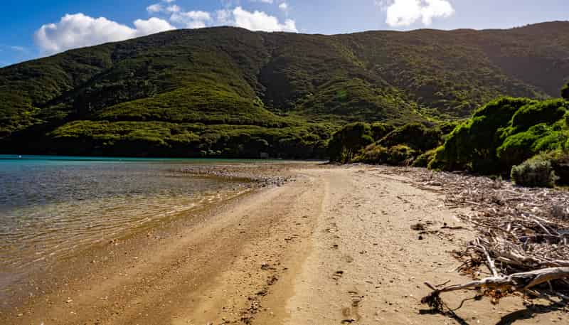 Lot 4 + 5 Te Aroha Bay, Otanerau Bay, Queen Charlotte Sound