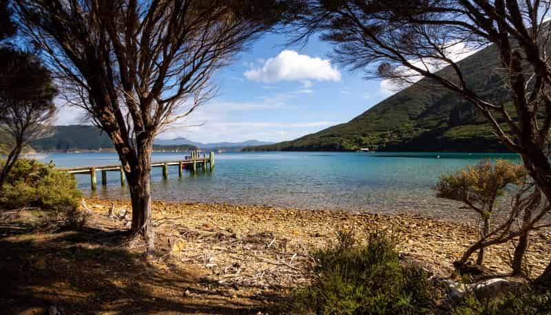 Lot 4 + 5 Te Aroha Bay, Otanerau Bay, Queen Charlotte Sound