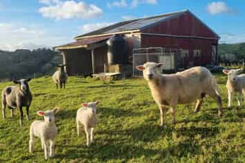 311 Franklin Road, Paparoa