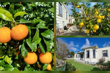 311 Franklin Road, Paparoa