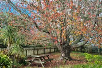 311 Franklin Road, Paparoa