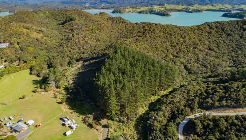 654 Whangaruru North Road, Whangaruru