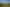  Kapua Road/Campbells Road, Waimate
