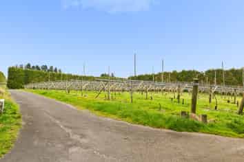 Lot 6/1010 Te Matai Road, Te Puke