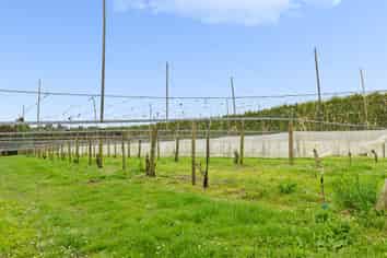 Lot 6/1010 Te Matai Road, Te Puke
