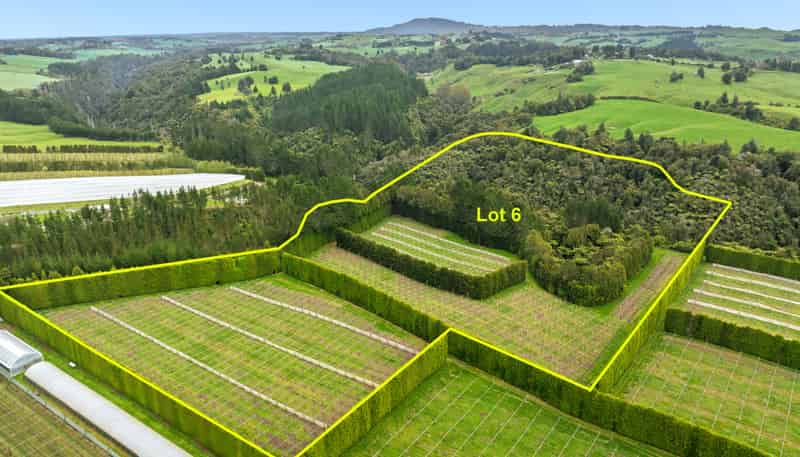 Lot 6/1010 Te Matai Road, Te Puke