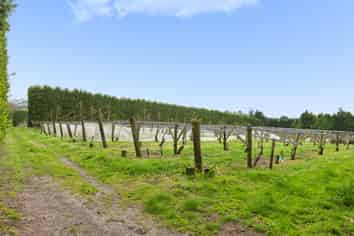 Lot 6/1010 Te Matai Road, Te Puke