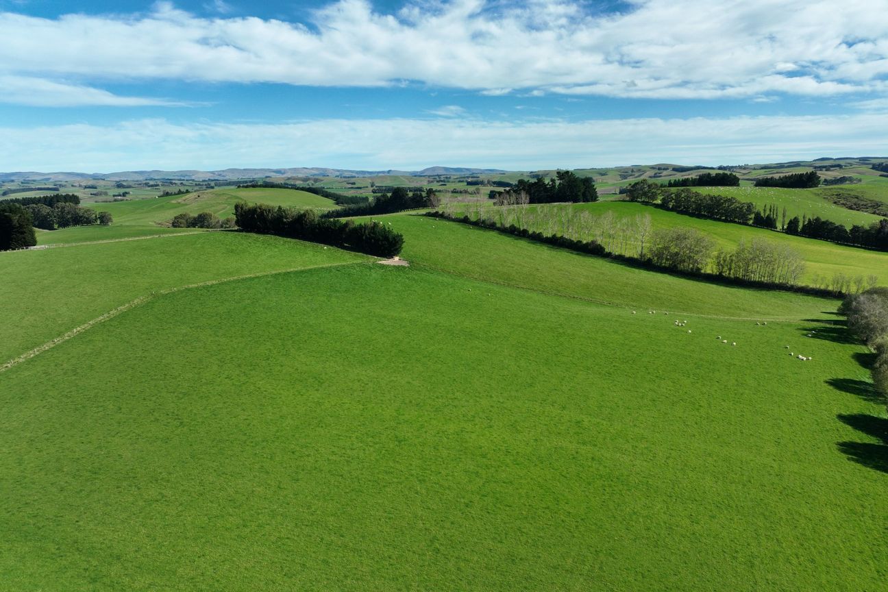 Quality Land with Purchase Options - Повеќе