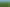 191 Chapman Road, Wharetoa