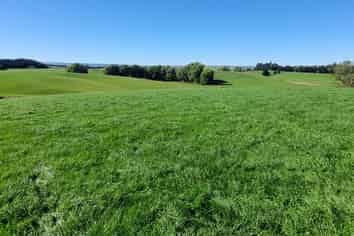 191 Chapman Road, Wharetoa