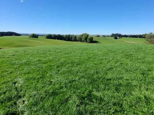 191 Chapman Road, Wharetoa