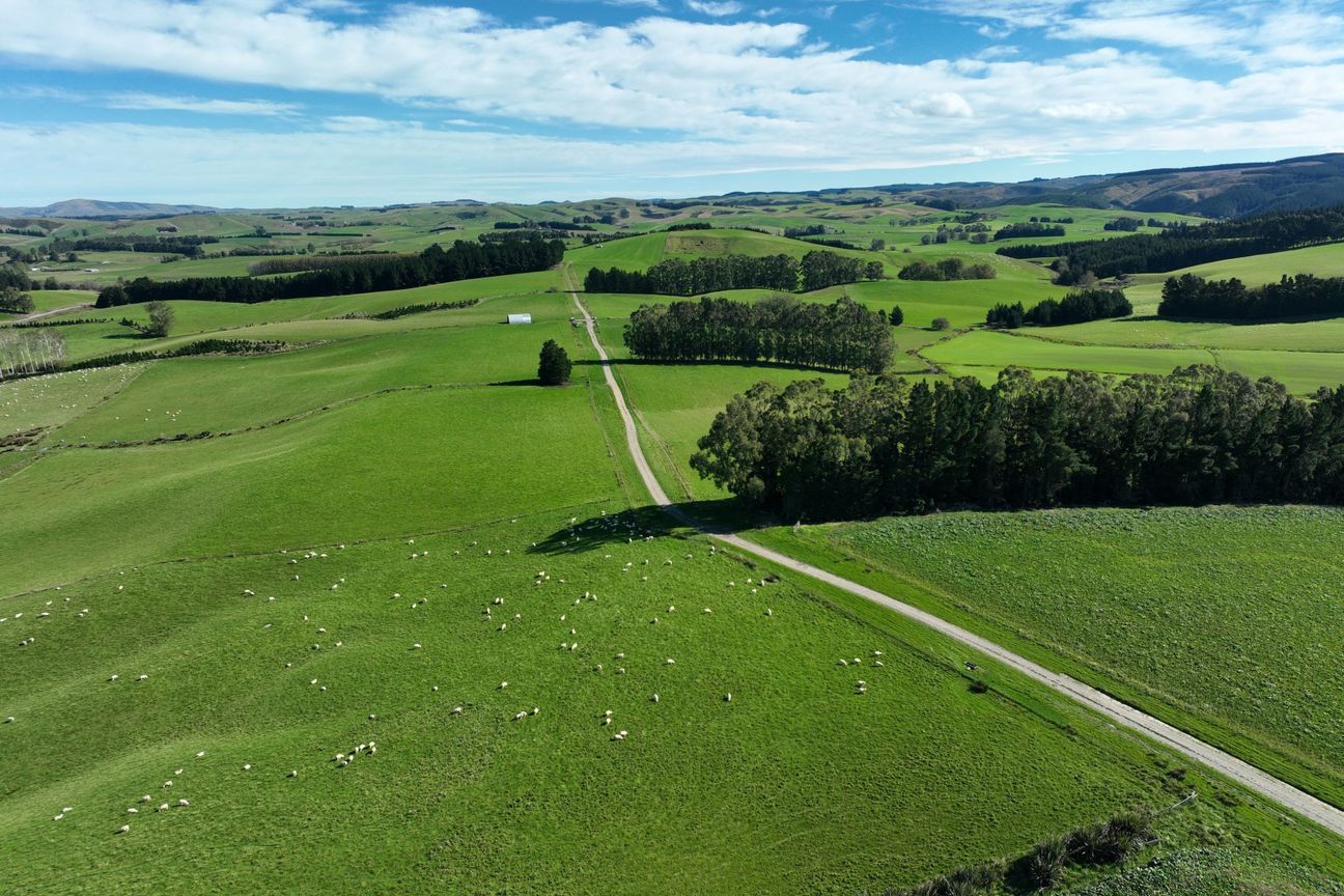 Quality Land with Purchase Options - Поглед 5