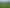 191 Chapman Road, Wharetoa