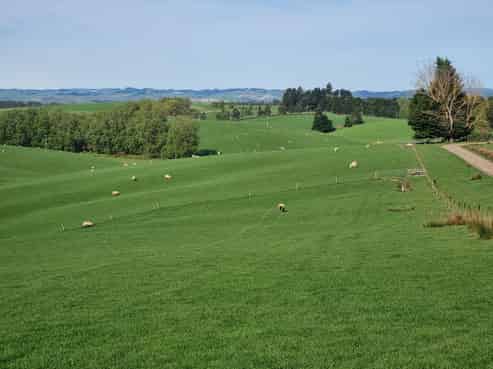 191 Chapman Road, Wharetoa