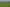 191 Chapman Road, Wharetoa